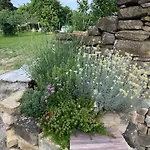 Istrian House Апартаменты Порторож