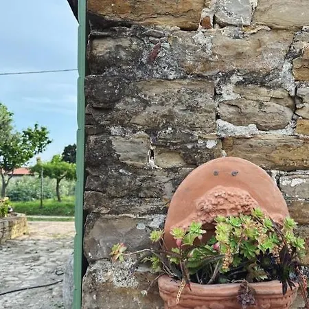 Apartman Istrian House