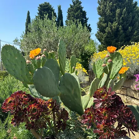 דירה Istrian House *