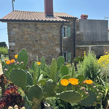 Istrian House