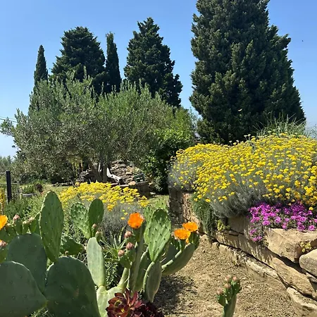 Istrian House דירה *