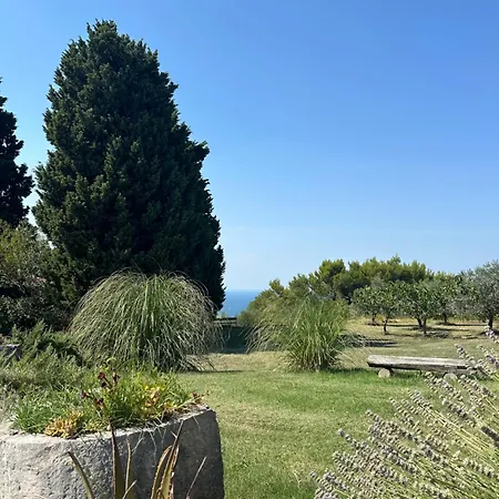 Istrian House * Portorož