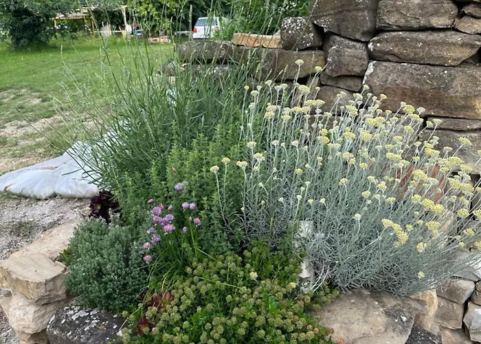 Istrian House Apartmán Portorož