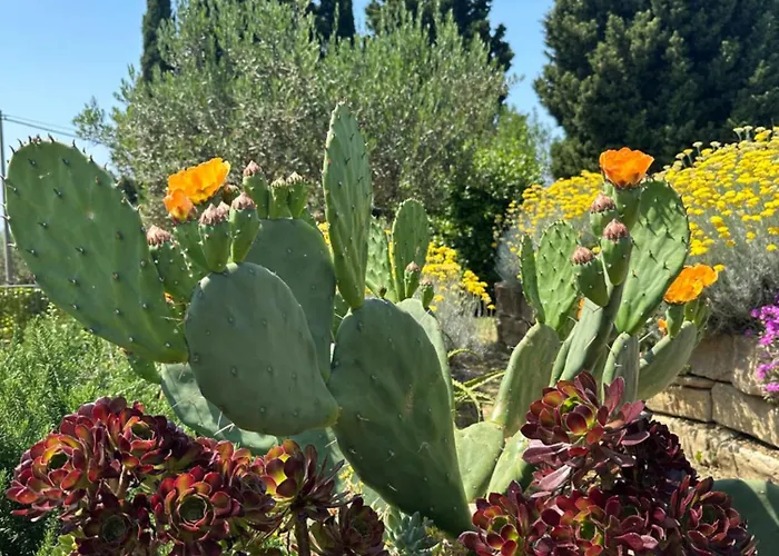 アパート Istrian House *