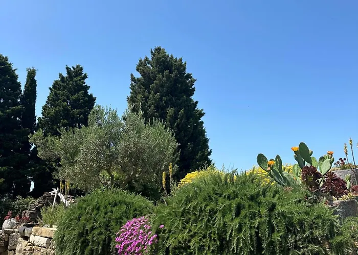 Istrian House アパート ポルトローシュ