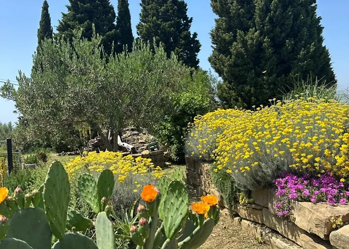 Istrian House Apartmán *