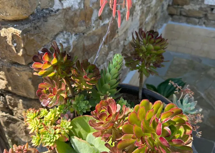 Apartmán Istrian House Portorož